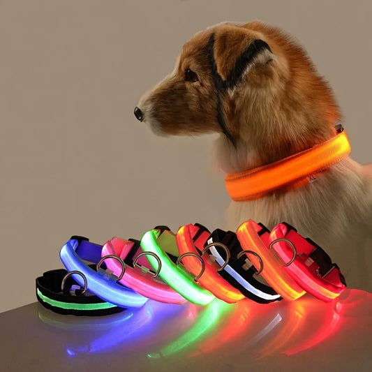 Night-Visibility LED Dog Collar